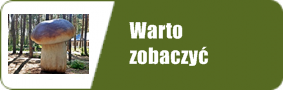 wart